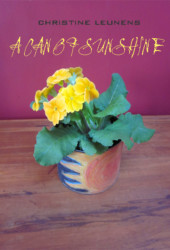 Can of Sunshine