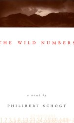 The Wild Numbers